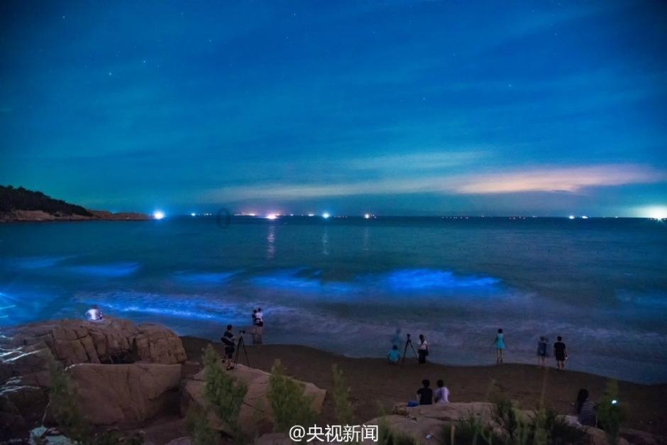 青春风暴无敌!!!杰伦-威廉姆斯未来 全明星