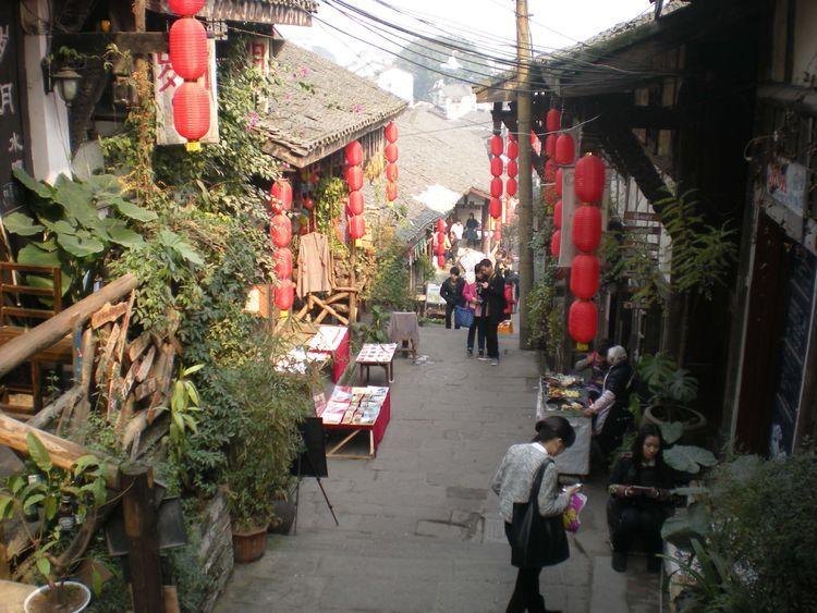 虫虫助手下载